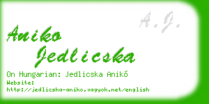aniko jedlicska business card